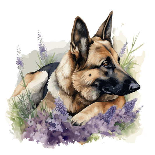 German Shepherd Dog 9