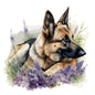 German Shepherd Dog 9