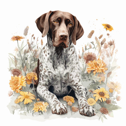 German Shorthaired Pointer 2