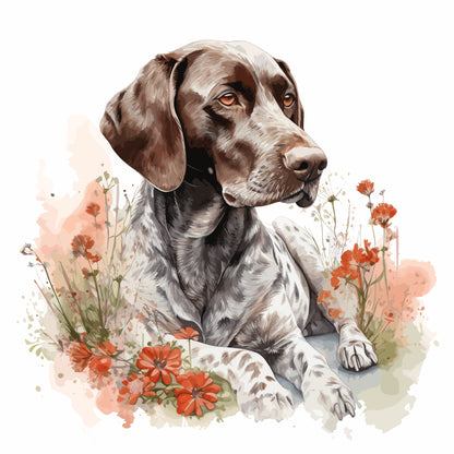 German Shorthaired Pointer 3