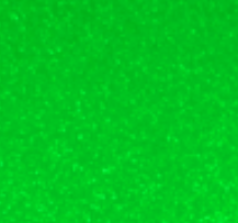 Solid green color swatch