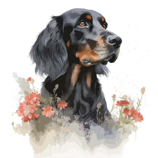 Gordon Setter 10