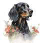 Gordon Setter 10