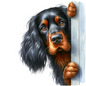 Gordon Setter 12