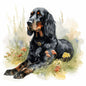 Gordon Setter 2