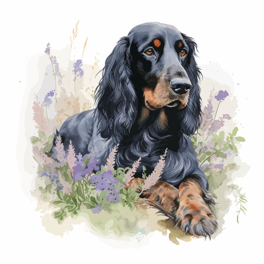 Gordon Setter 3