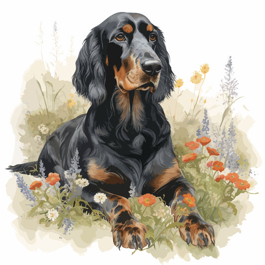 Gordon Setter 4
