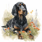 Gordon Setter 4