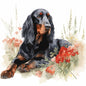 Gordon Setter 5