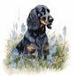 Gordon Setter 7