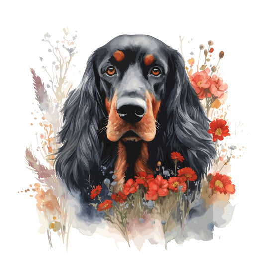 Gordon Setter 8