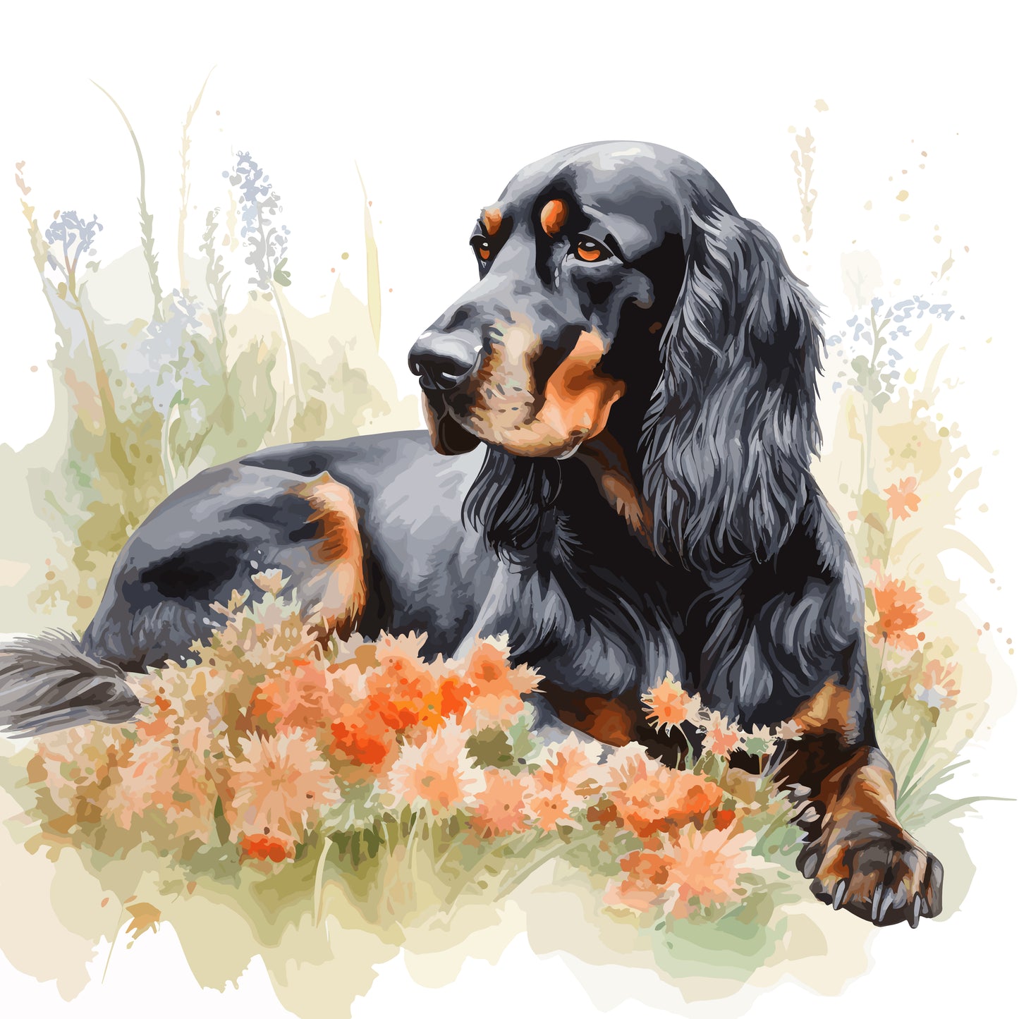 Gordon Setter 9