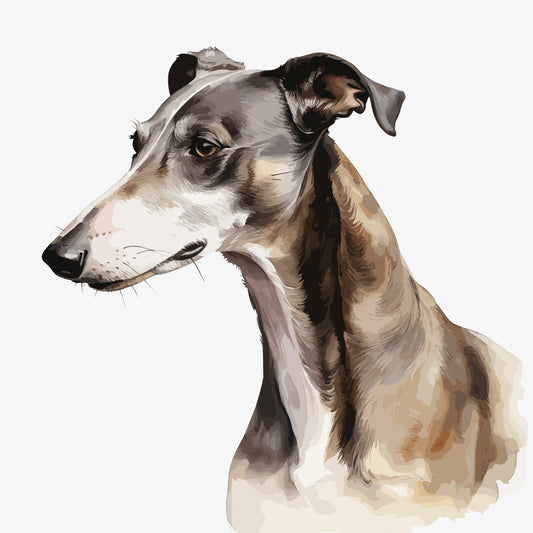 Greyhound 2