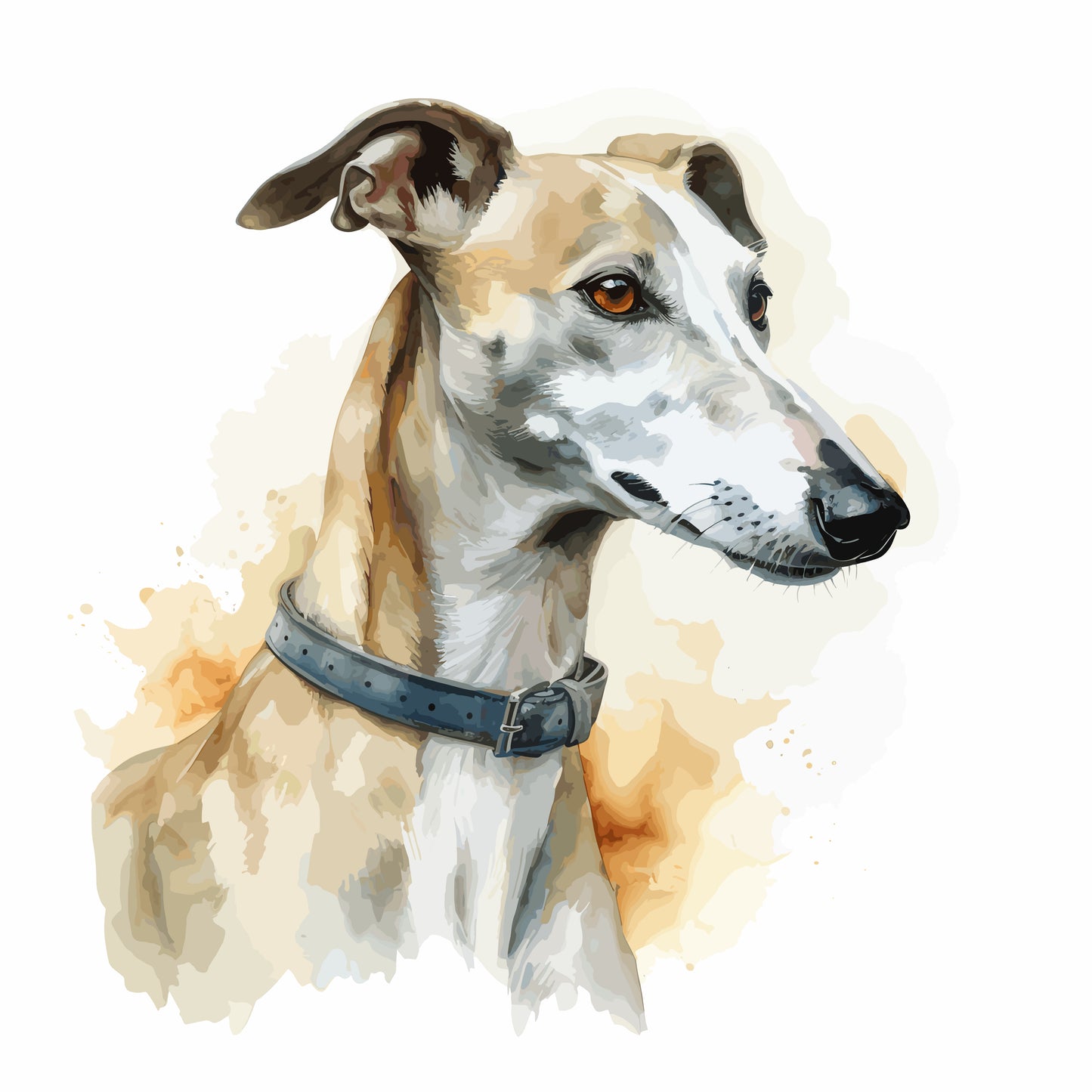 Greyhound 4