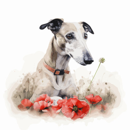 Greyhound 7