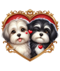 Havanese 2
