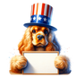 Cocker Spaniel - American 1