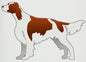 Irish Red & White Setter 1