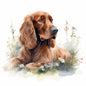 Irish Setter 1 - Crazy Dog Lady 