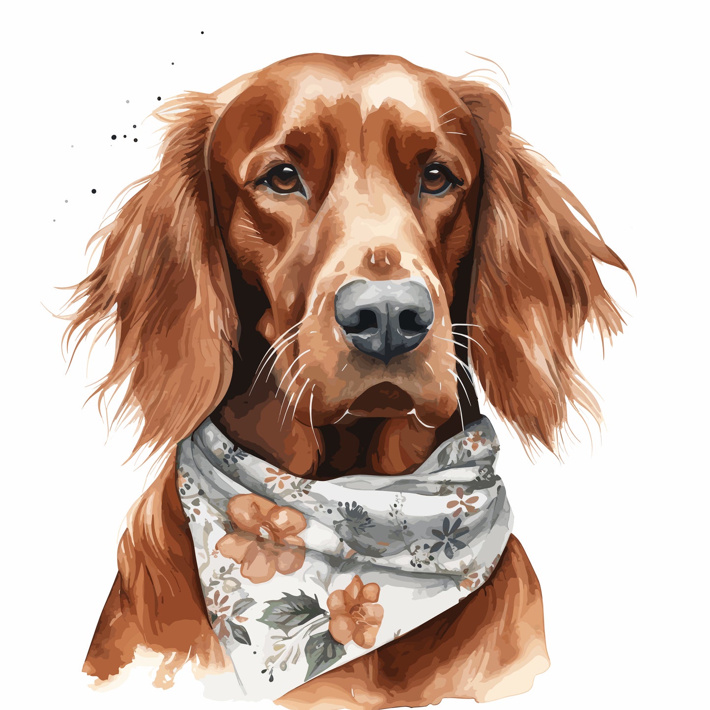 Irish Setter 2