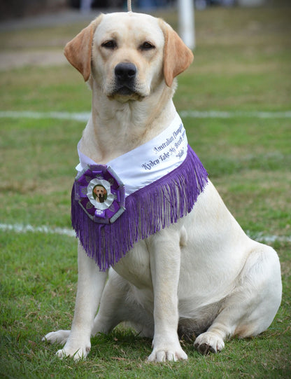 Show Neck Sash - BEST IN SHOW PRIZE