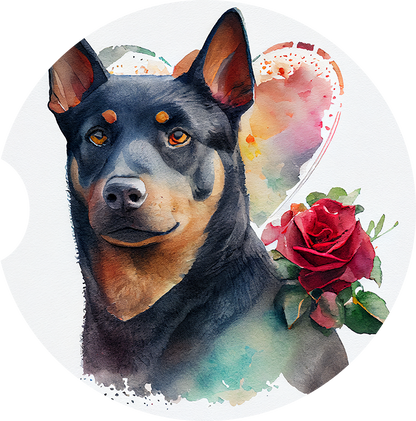 Australian Kelpie Pictures