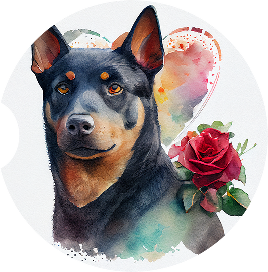 Australian Kelpie 1