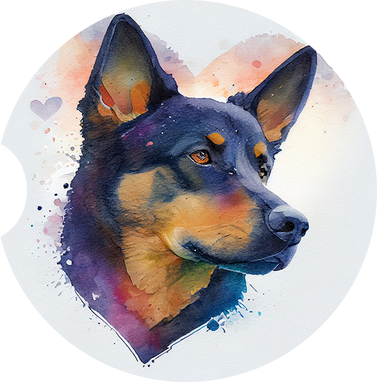 Australian Kelpie 2
