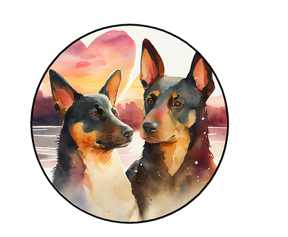 Australian Kelpie Pictures
