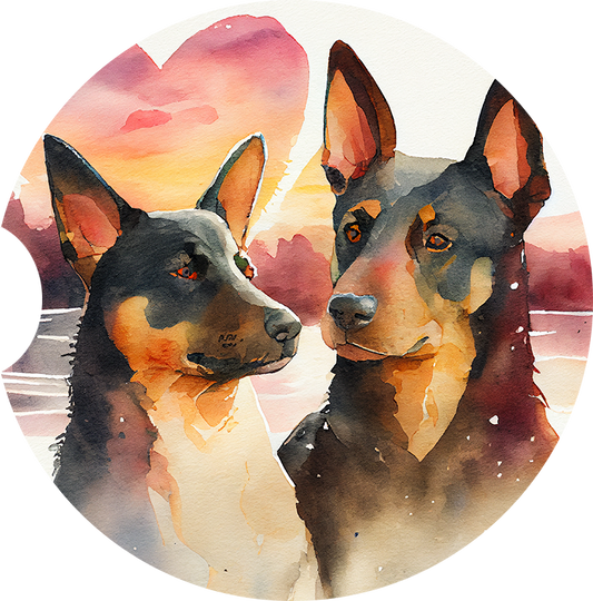 Australian Kelpie 4