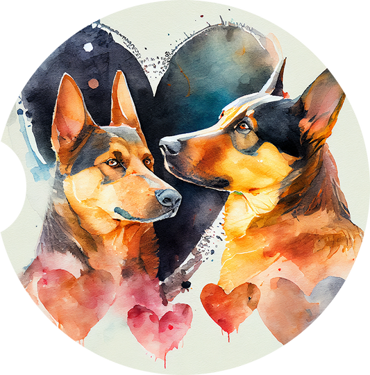 Australian Kelpie 5