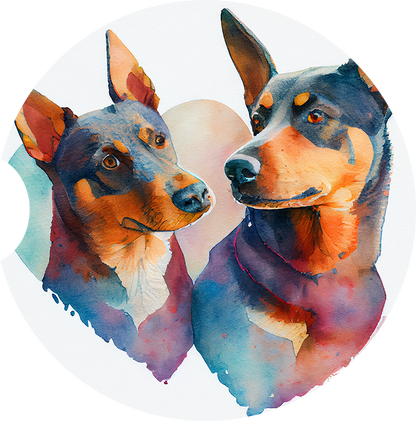 Australian Kelpie Pictures