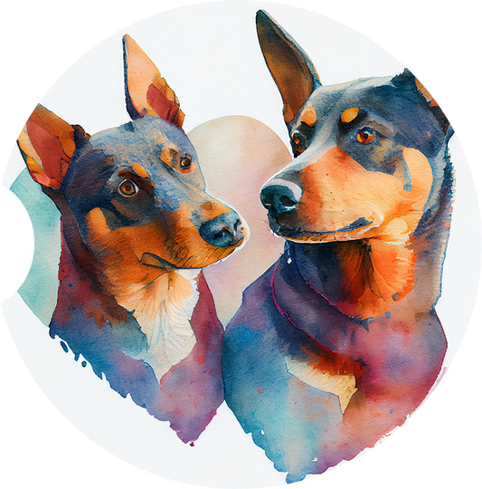 Australian Kelpie 6