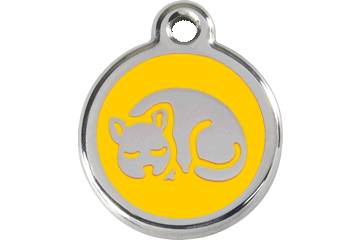 Kitten ID Tag