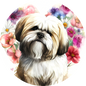 Lhasa Apso 3