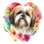 Lhasa Apso 5