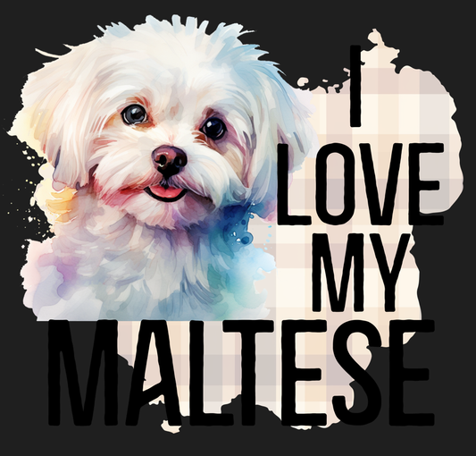 Maltese 7