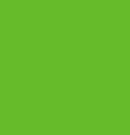 Solid green color swatch