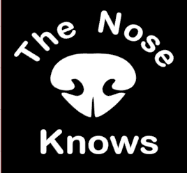 Sticker - The Nose Knows