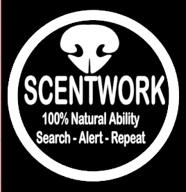 Sticker - Nosework / Scentwork