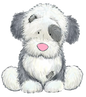 Old English Sheepdog 5