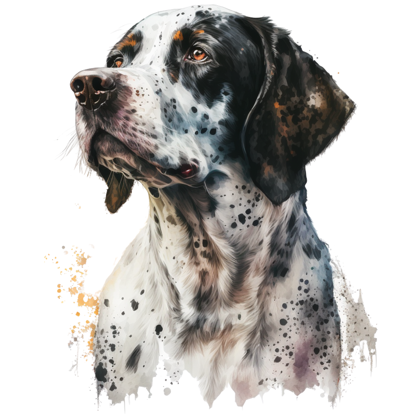 Pointer 2