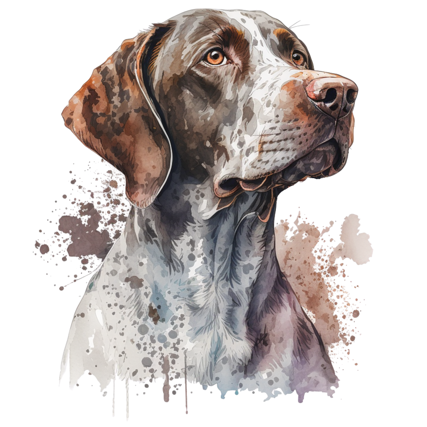 Pointer 3