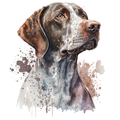 Pointer 3