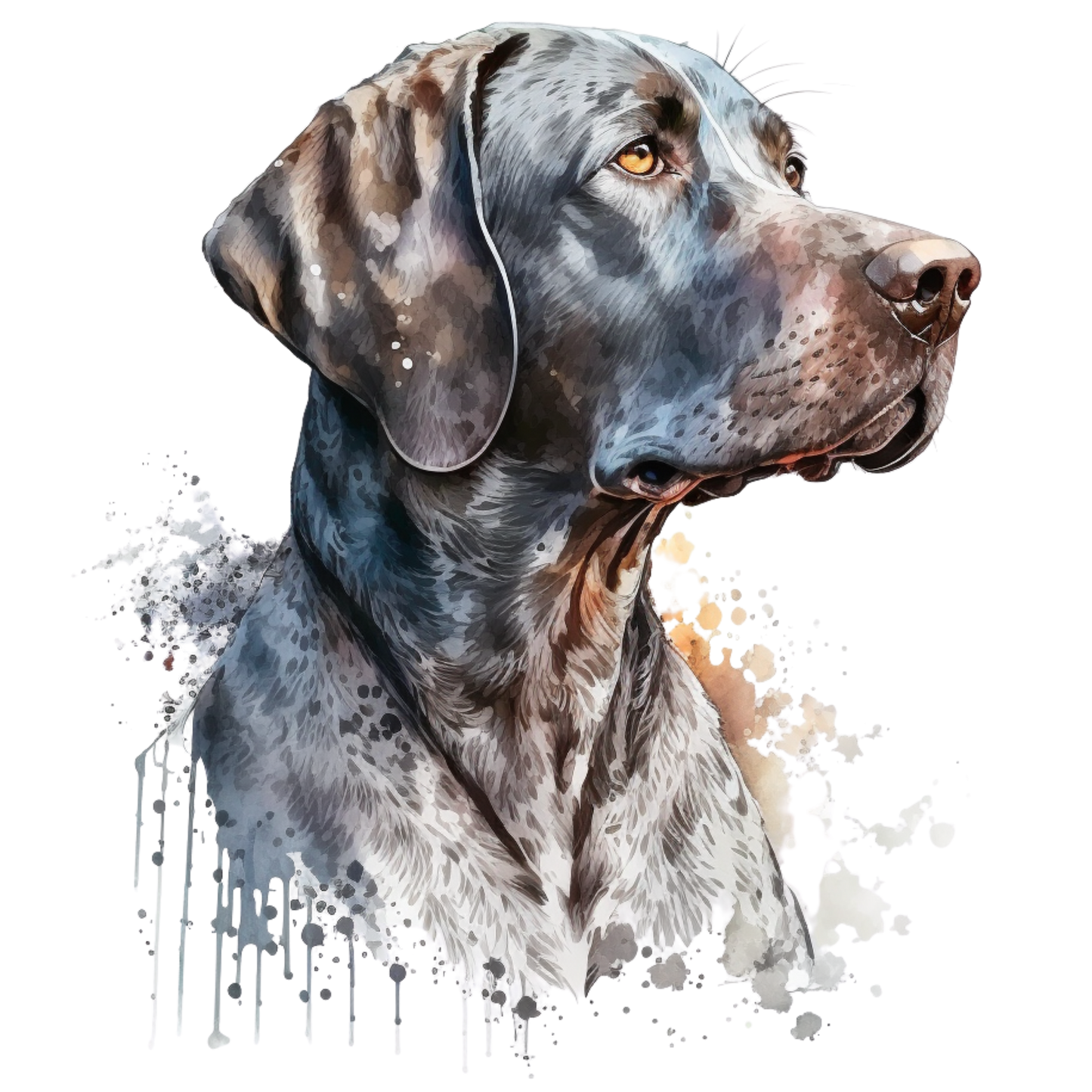 Pointer 5