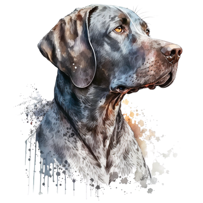 Pointer 5