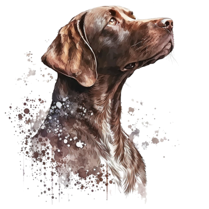 Pointer 6