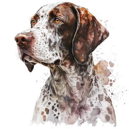 Pointer 8