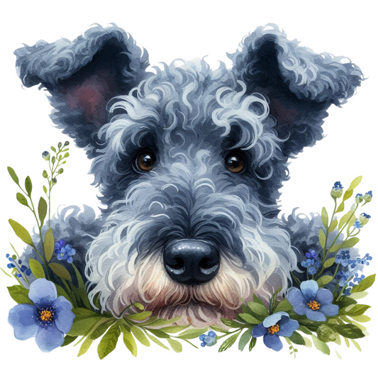 Pumi 3