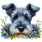 Pumi 3